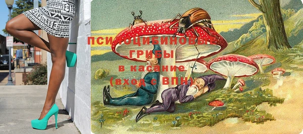 МДПВ Дмитров