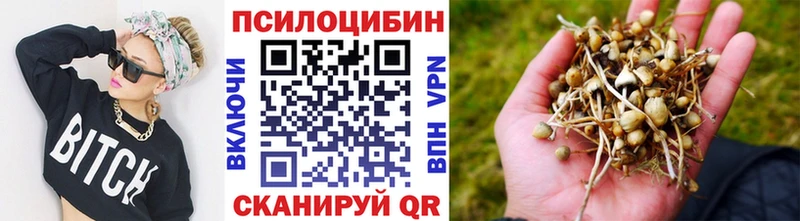 Купить  Туапсе  Псилоцибиновые грибы мухоморы 